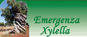 emergenza xylella